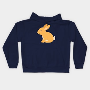 Rabbit Kids Toddlers Boys Girls Baby Bunny Kids Hoodie